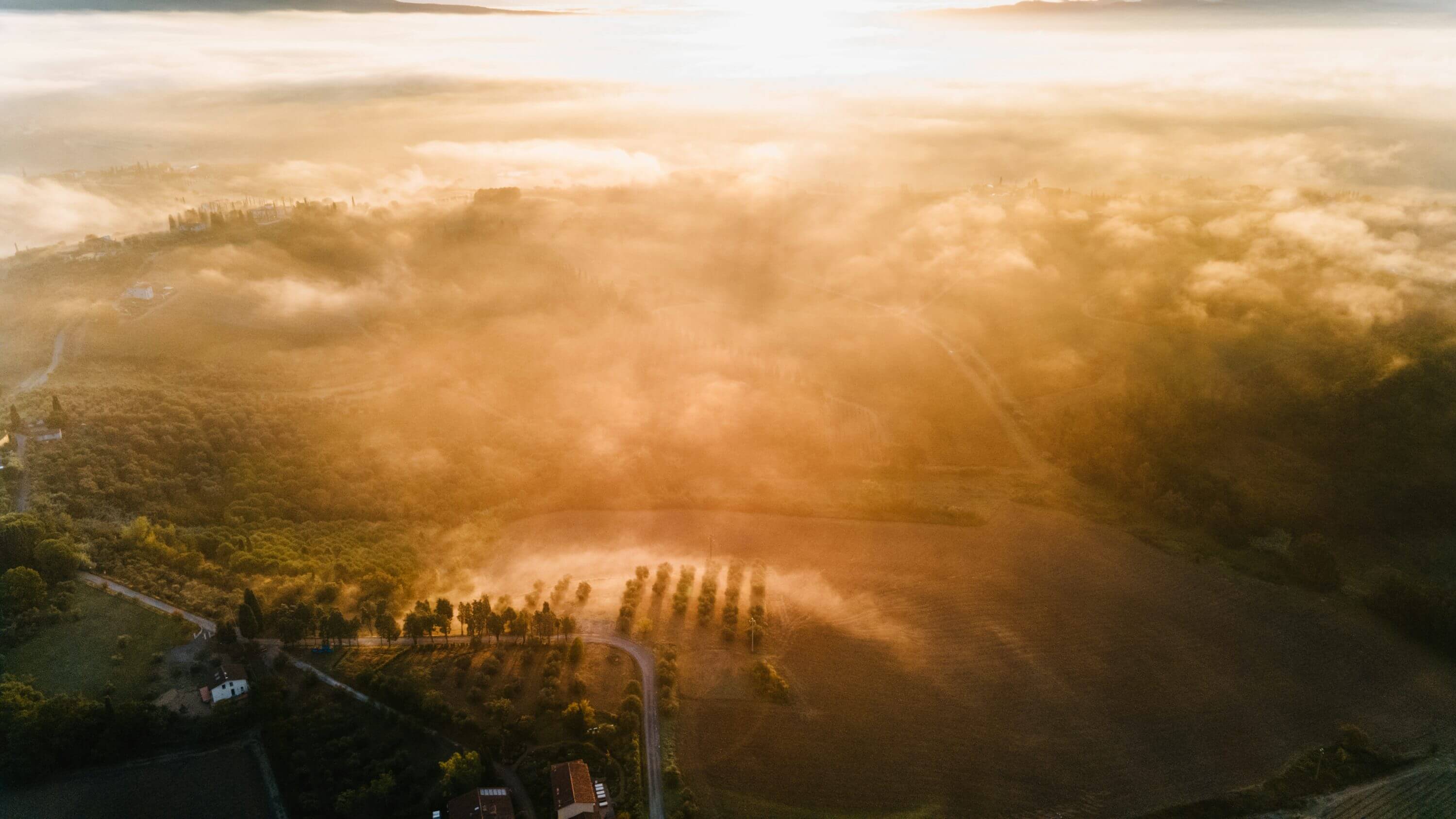 Anandhamaya aerial view