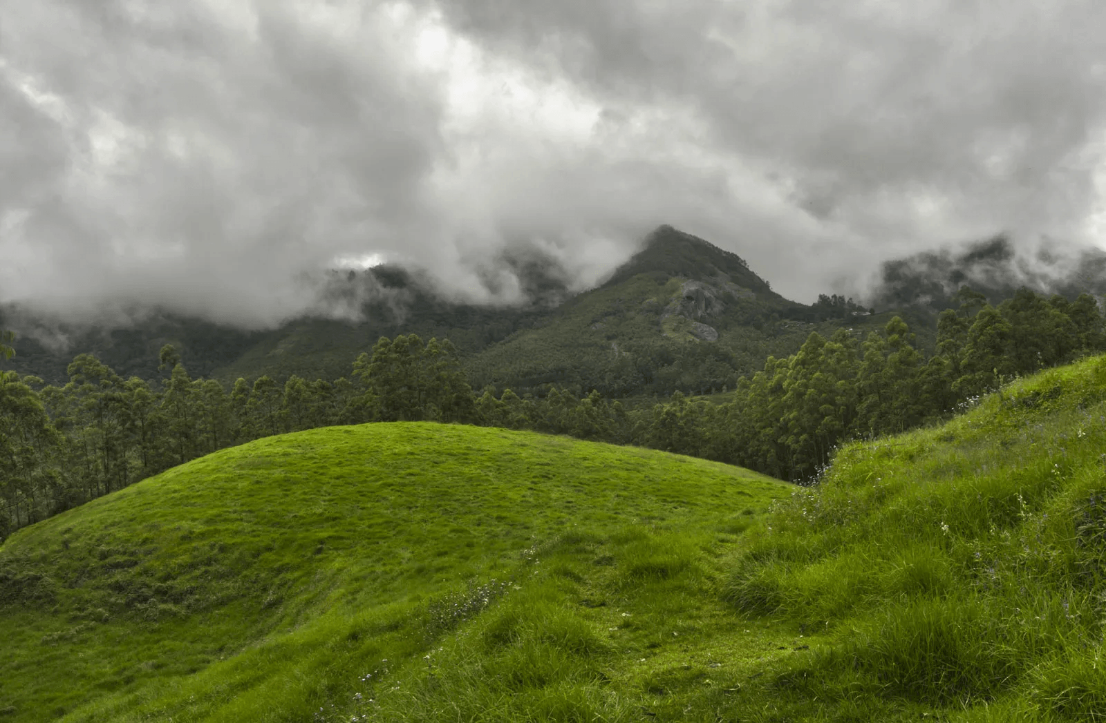 Foothills of Anaimalai, Pollachi
